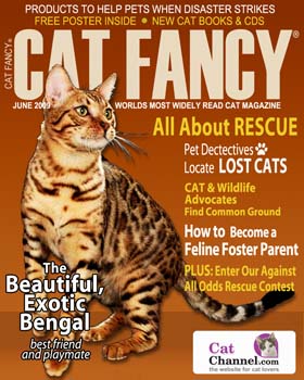 summers_j_composite6