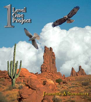 summers_j_projectone