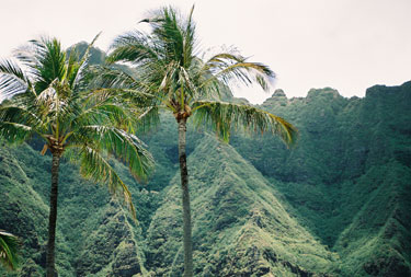 View of Ko'olau Mountains above Kualoa Beach Park- Oahu