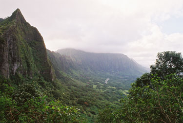 View of Ko'olua-Mtns and Pali Cliffs from the old Pali Road - Oahu
